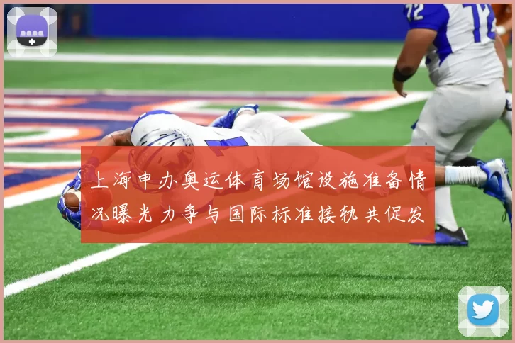 上海申办奥运体育场馆设施准备情况曝光力争与国际标准接轨共促发展