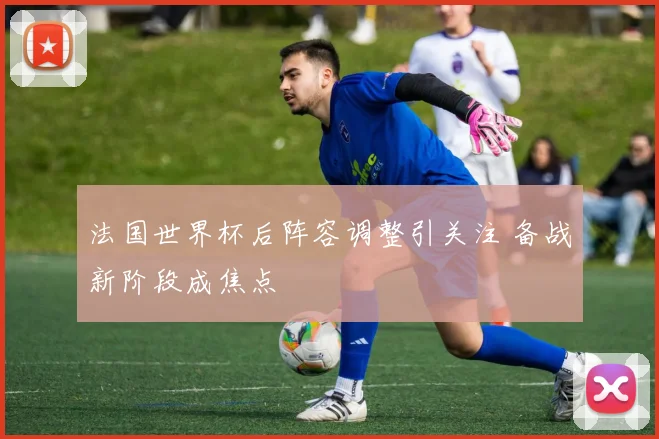 法国世界杯后阵容调整引关注 备战新阶段成焦点