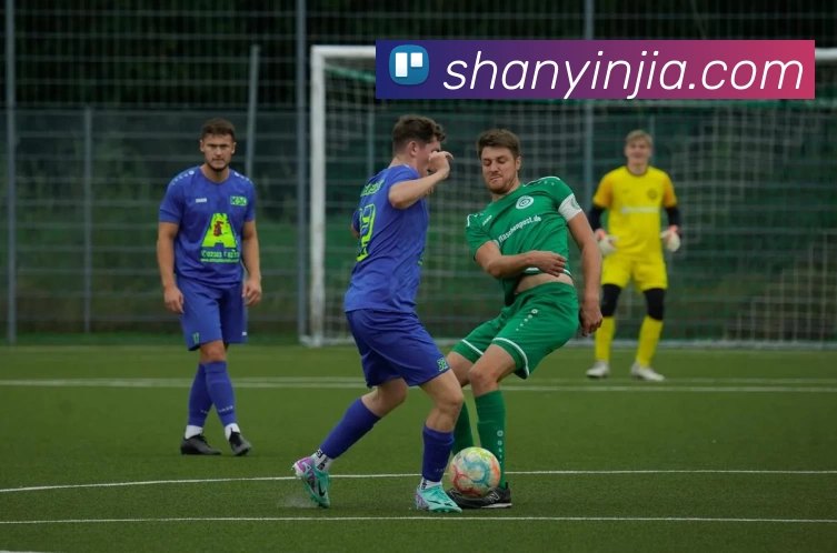 多媒体互动体验